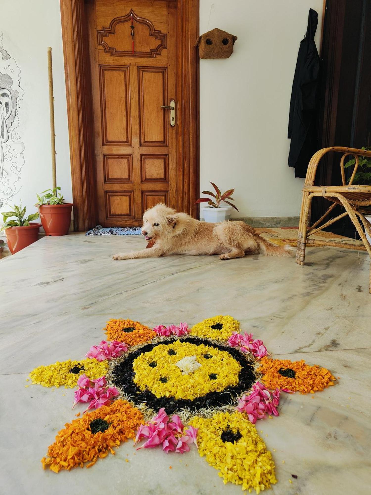 Shamak Homestay Varkala Exteriör bild